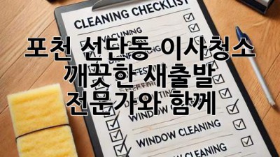 포천 선단동 이사청소: 깨끗한 새출발, 전문가와 함께!