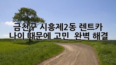 금천구 시흥제2동 렌트카, 나이 때문에 고민? 🤔 완벽 해결!