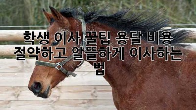 학생 이사 꿀팁🍯: 용달 비용 절약하고 알뜰하게 이사하는 법!