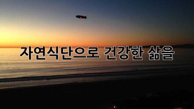 자연식단으로 건강한 삶을!