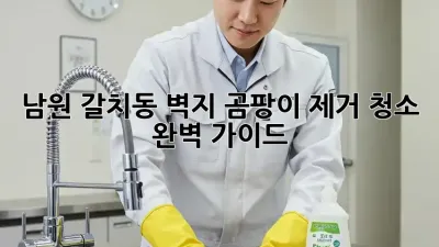남원 갈치동 벽지 곰팡이 제거 청소 완벽 가이드