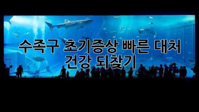 수족구 초기증상: 빠른 대처, 건강 되찾기